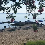 Elpida Lejlighedshotel